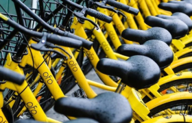 屡现10万+擦边爆文，ofo小黄车没黄？