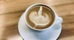 小镇青年钟爱小众咖啡馆