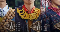 碧桂园的海报，野得很太有内味了！！！