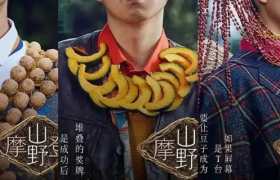 碧桂园的海报，野得很太有内味了！！！