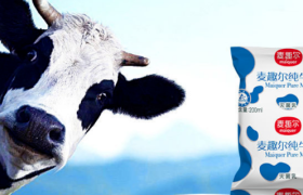 麦趣尔垮了半边天