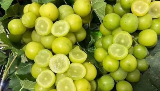 一斤300元跌落到20元，“葡萄界的爱马仕”阳光玫瑰怎么了？