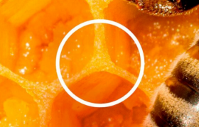 创意炸裂！看这些品牌如何玩转自家logo