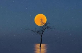 中秋祝福文案来了！祝你快乐，不止中秋 ​​​