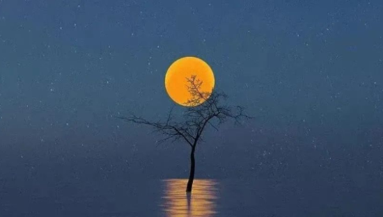 中秋祝福文案来了！祝你快乐，不止中秋 ​​​