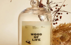 野兽派上热搜，一点儿也不意外