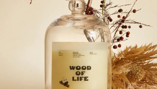 野兽派上热搜，一点儿也不意外