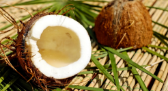 椰子频出爆款，生椰为什么这么火？