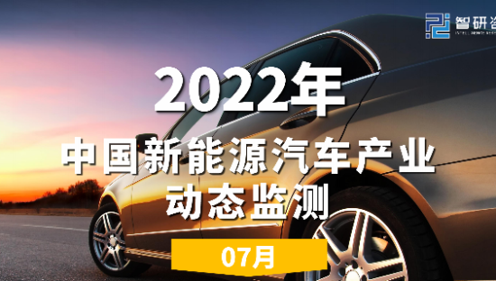 2022年中国新能源汽车产业动态监测报告