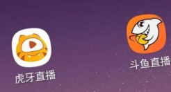 虎牙斗鱼，只剩“半条命”