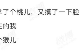 脱口秀演员微博文案，比脱口秀还精彩！