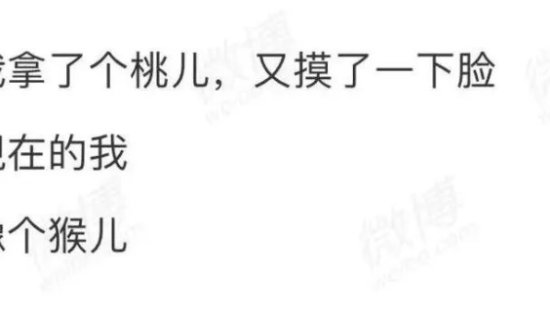 脱口秀演员微博文案，比脱口秀还精彩！