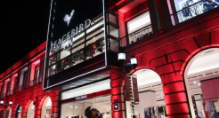 太平鸟在“阴云”下低飞