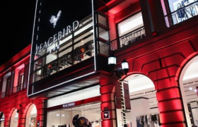 太平鸟在“阴云”下低飞