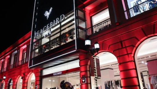 太平鸟在“阴云”下低飞