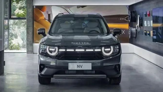 自游家NV，没有形容词