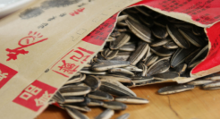 一把“瓜子”，嗑出千亿市场