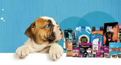 制造A股宠物之王