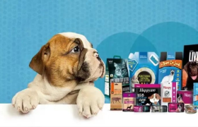 制造A股宠物之王