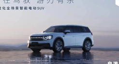 再砸400亿？“华为太子”的最后一场豪赌