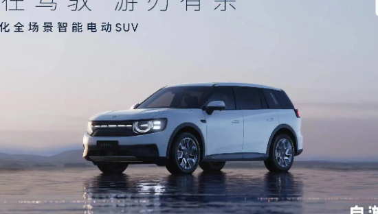 再砸400亿？“华为太子”的最后一场豪赌