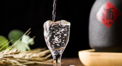 万事俱备的水井坊，只欠高端化的东风？