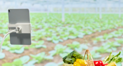 东方甄选爆火之后，好未来像素级模仿直播带货，“老对手”被动了吗?