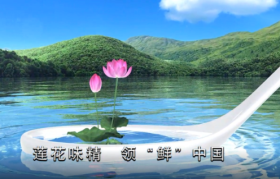 被谣言杀死的国产味精，蒙冤20年