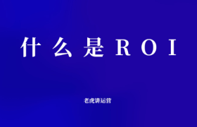 什么是ROI？
