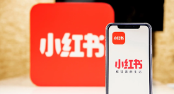 “葬爱家族”，在小红书重生