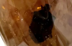 又一个知名美妆品牌“翻车”