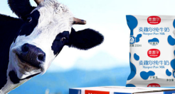 麦趣尔前后院不断起火