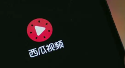 王宝钏“挖活”西瓜视频