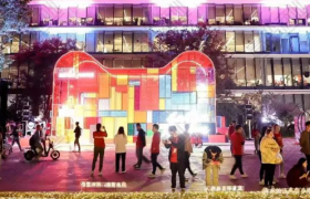 实体零售双11往事