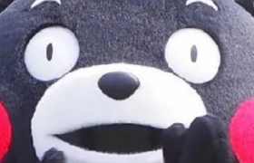 免费体验价值8000元的本地生活直播陪跑服务？真有这种好事？