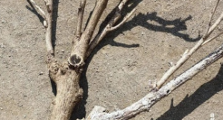 无印良品新海报，创意绝了！