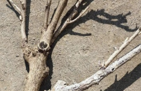 无印良品新海报，创意绝了！