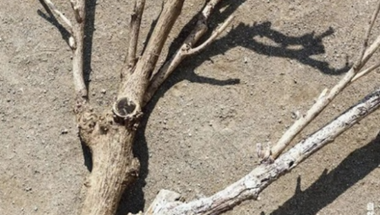 无印良品新海报，创意绝了！