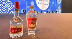 五粮液，“走出去”的方法论