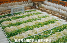 美团建18支球迷队、足球赛搬到食物届......|一周案例