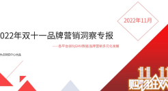 2022年双十一品牌营销洞察专报