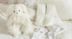 当明星出刀，Ubras和野兽派成了韭菜