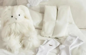 当明星出刀，Ubras和野兽派成了韭菜