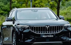 新能源车发展步入平稳阶段，岚图如何开启蓝图