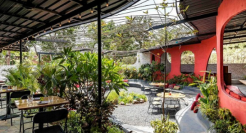 “花园餐厅”曝火背后，暗藏着什么场景逻辑？