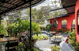 “花园餐厅”曝火背后，暗藏着什么场景逻辑？