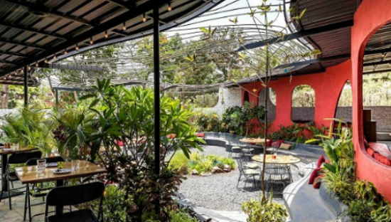 “花园餐厅”曝火背后，暗藏着什么场景逻辑？