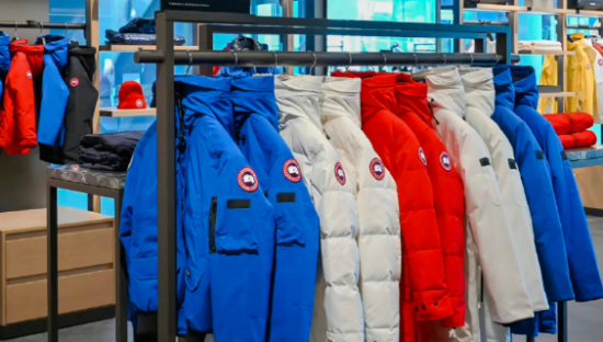 加拿大鹅，果然不香了