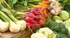 菜场变「网红」背后：即时零售、骑手与城市新地标