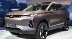 威马等来「强心针」